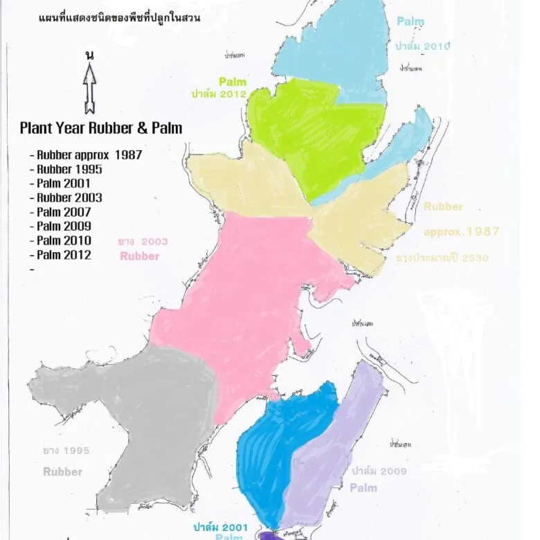 Expansive 1,200-Rai Development Land in Phang Nga – Near Future Andaman International Airport