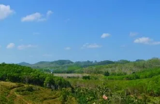 Expansive 1,200-Rai Development Land in Phang Nga – Near Future Andaman International Airport