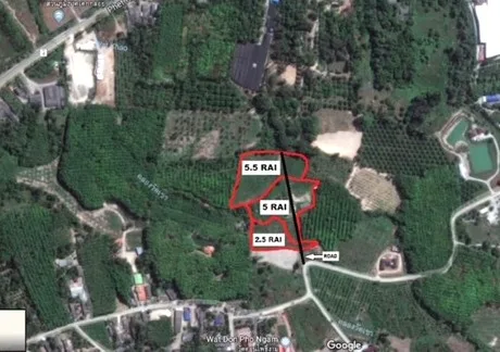 Prime 13 Rai of Virgin Land for Sale in Natai, Phang Nga