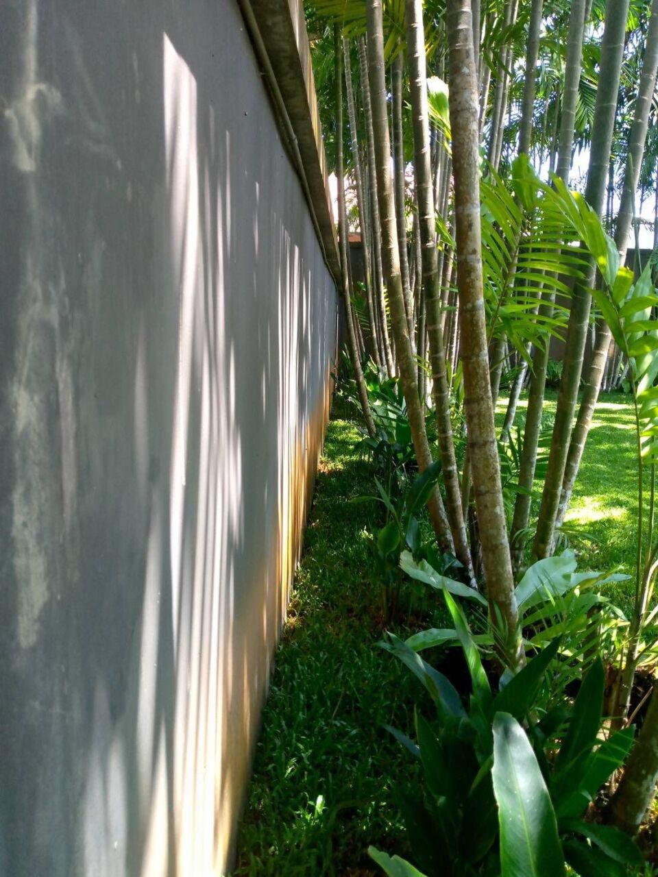 IMG-20251006-WA0150