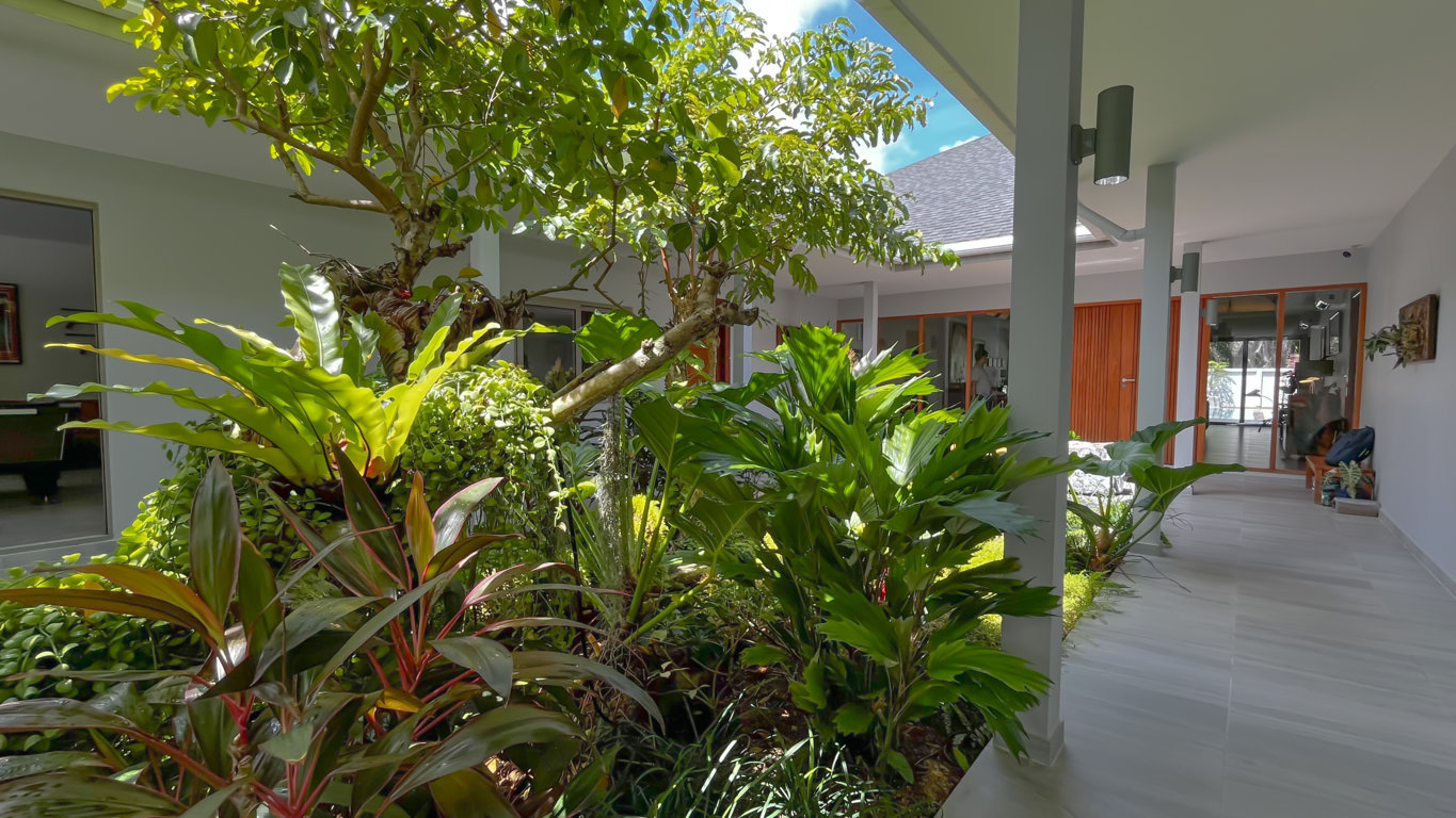 IMG_4309 (FILEminimizer)