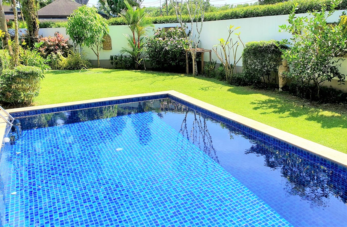 WhatsApp Image 2021-01-12 at 07.52.21 (2)