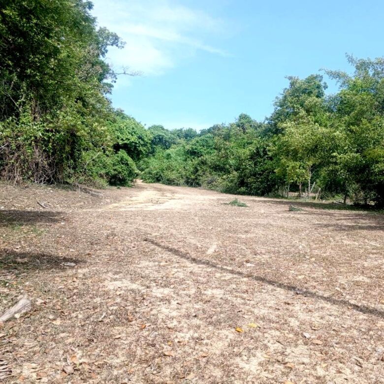 Beachfront Land for Sale in Laem Nga, Phuket – 72 Rai of Prime Oceanfront Opportunity