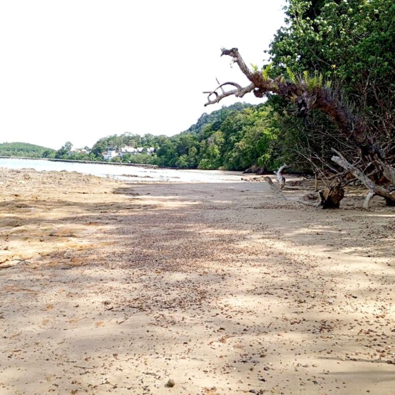 Beachfront Land for Sale in Laem Nga, Phuket – 72 Rai of Prime Oceanfront Opportunity