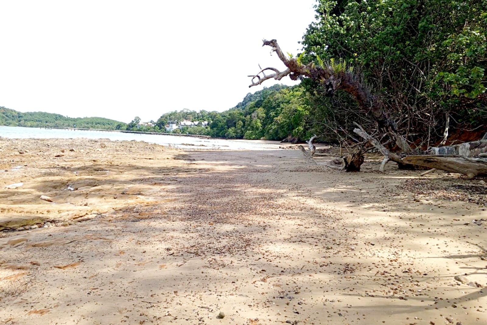 Beachfront Land for Sale in Laem Nga, Phuket – 72 Rai of Prime Oceanfront Opportunity