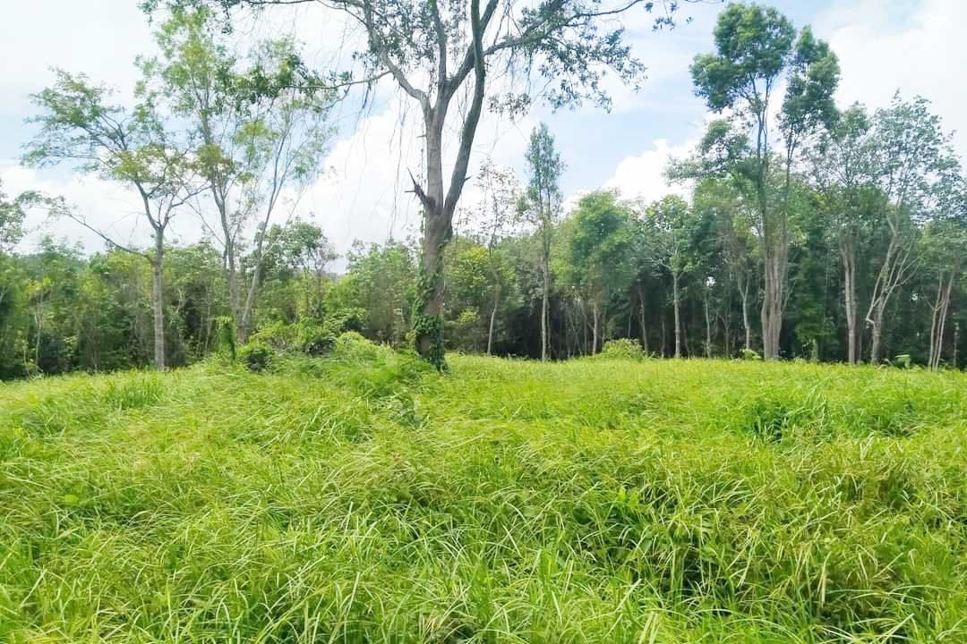 Prime Land for Sale in Layan, Phuket – Exceptional Investment Opportunity with Mountain Views