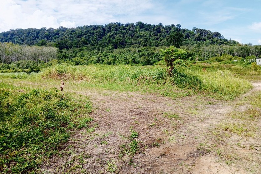 Prime 93 Rai Land for Sale in Thalang, Phuket – Rare Investment Opportunity with Mountain Views