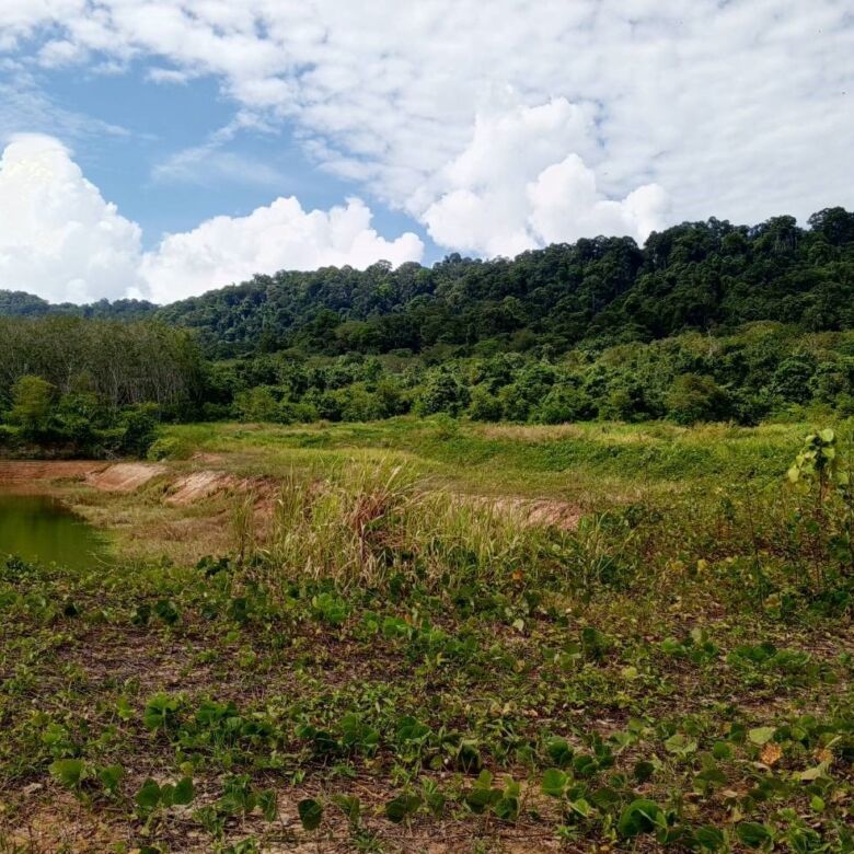 Prime 93 Rai Land for Sale in Thalang, Phuket – Rare Investment Opportunity with Mountain Views