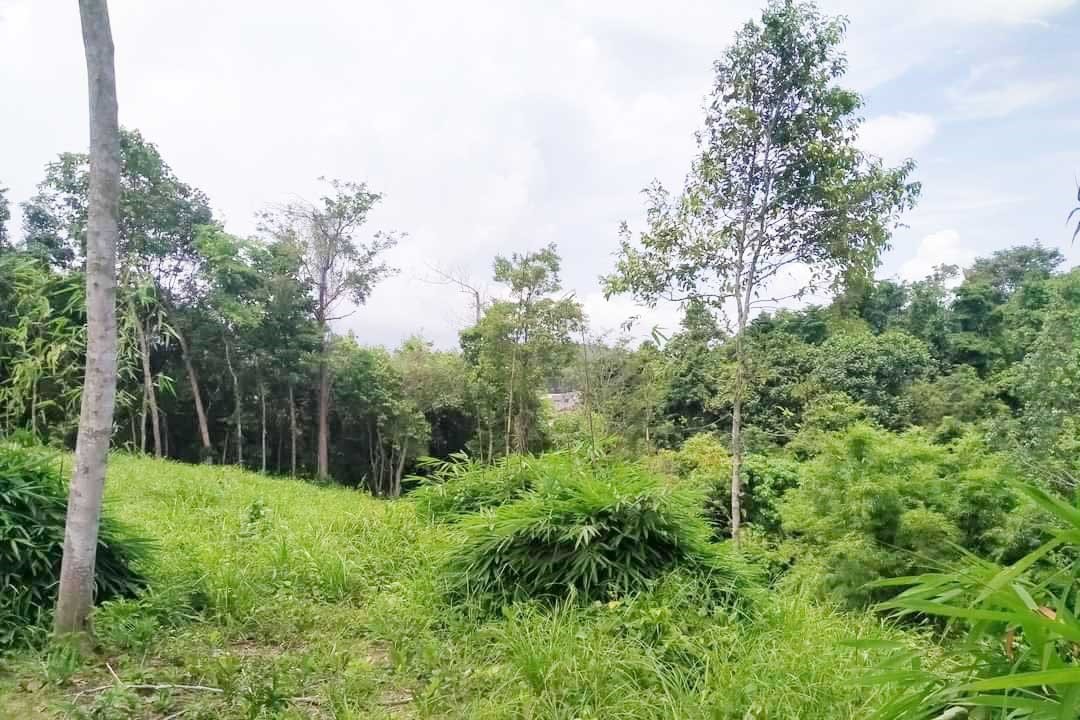 Prime Land for Sale in Layan, Phuket – Exceptional Investment Opportunity with Mountain Views