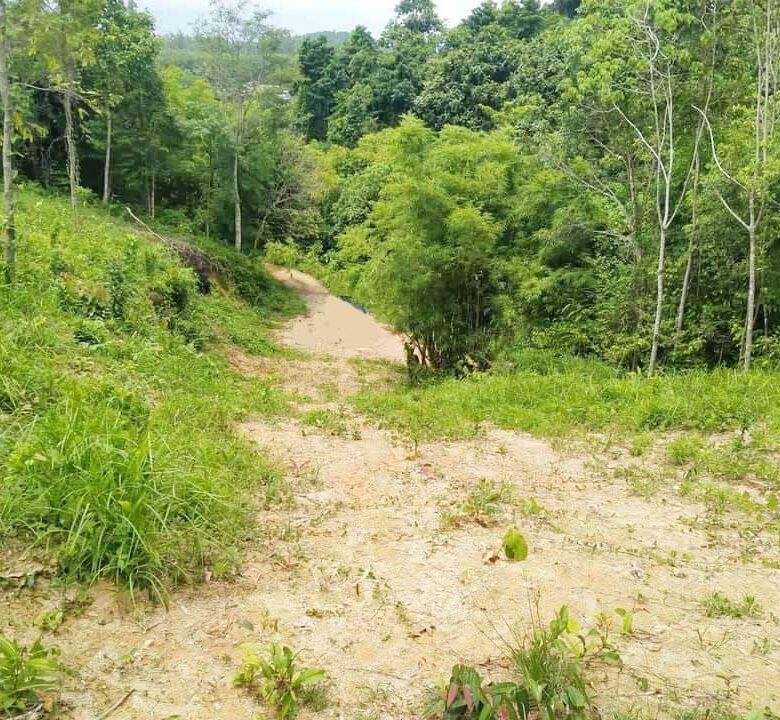 Prime Land for Sale in Layan, Phuket – Exceptional Investment Opportunity with Mountain Views
