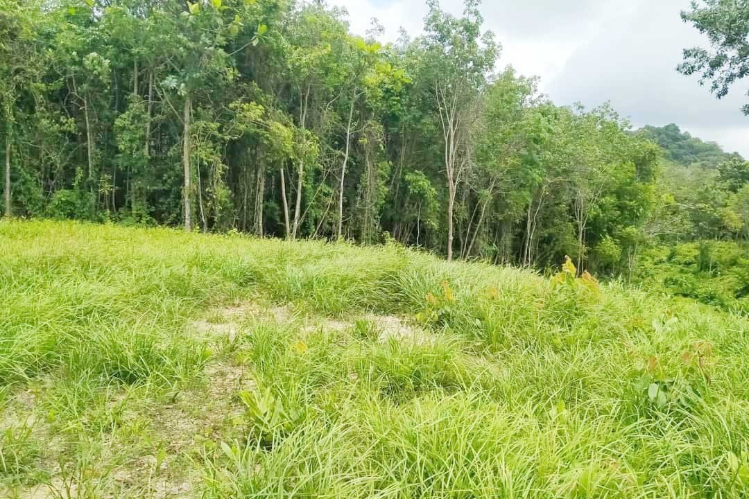 Prime Land for Sale in Layan, Phuket – Exceptional Investment Opportunity with Mountain Views