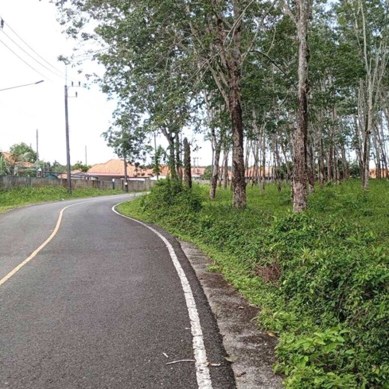 Prime Development Land for Sale in Thalang, Phuket – 46,300 SQM Near Tonsai Waterfall