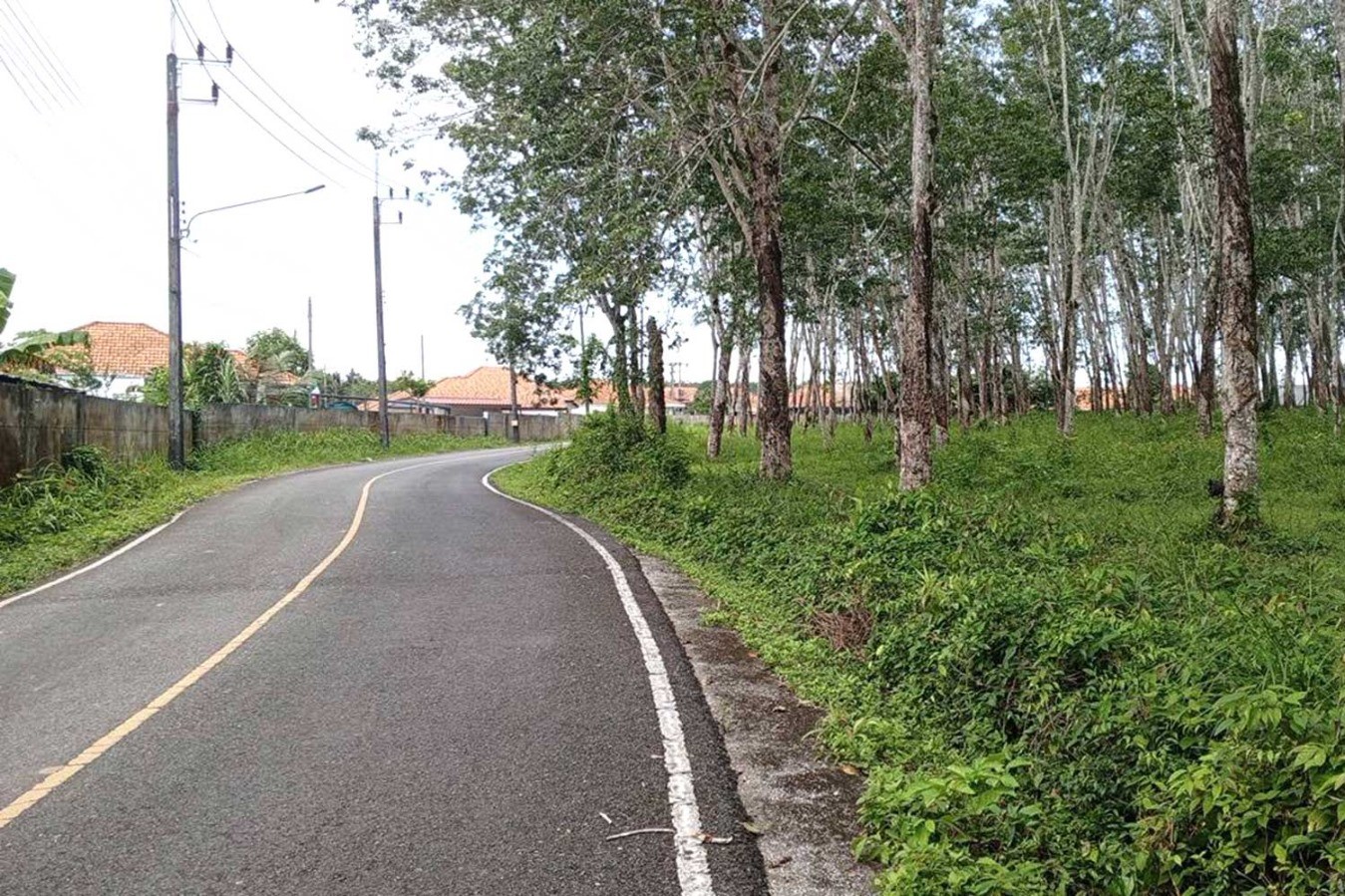 IMG-20251004-WA0033 Prime Development Land for Sale in Thalang, Phuket – 46,300 SQM Near Tonsai Waterfall
