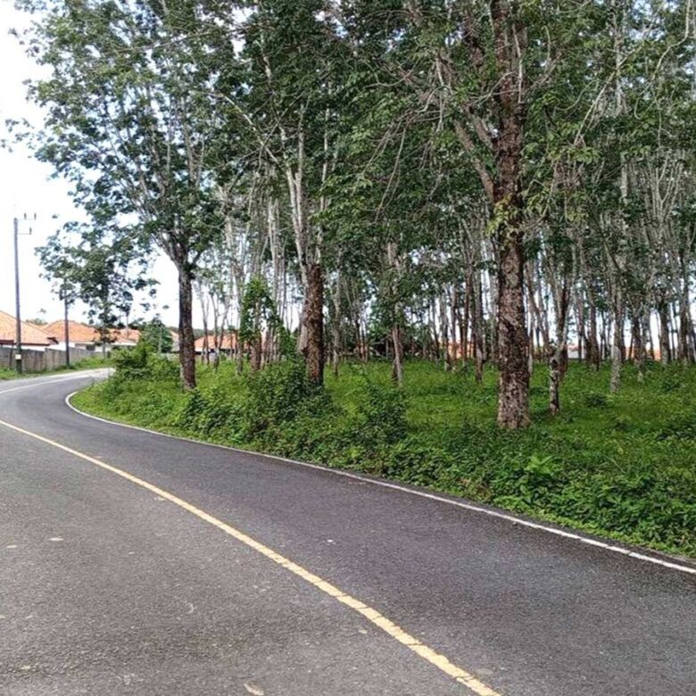 Prime Development Land for Sale in Thalang, Phuket – 46,300 SQM Near Tonsai Waterfall