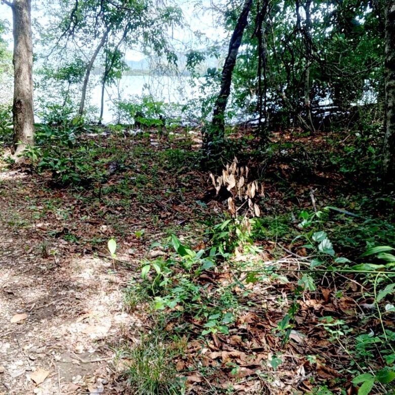 Exclusive Beachfront Development Land for Sale Near Panwa Beach, Phuket
