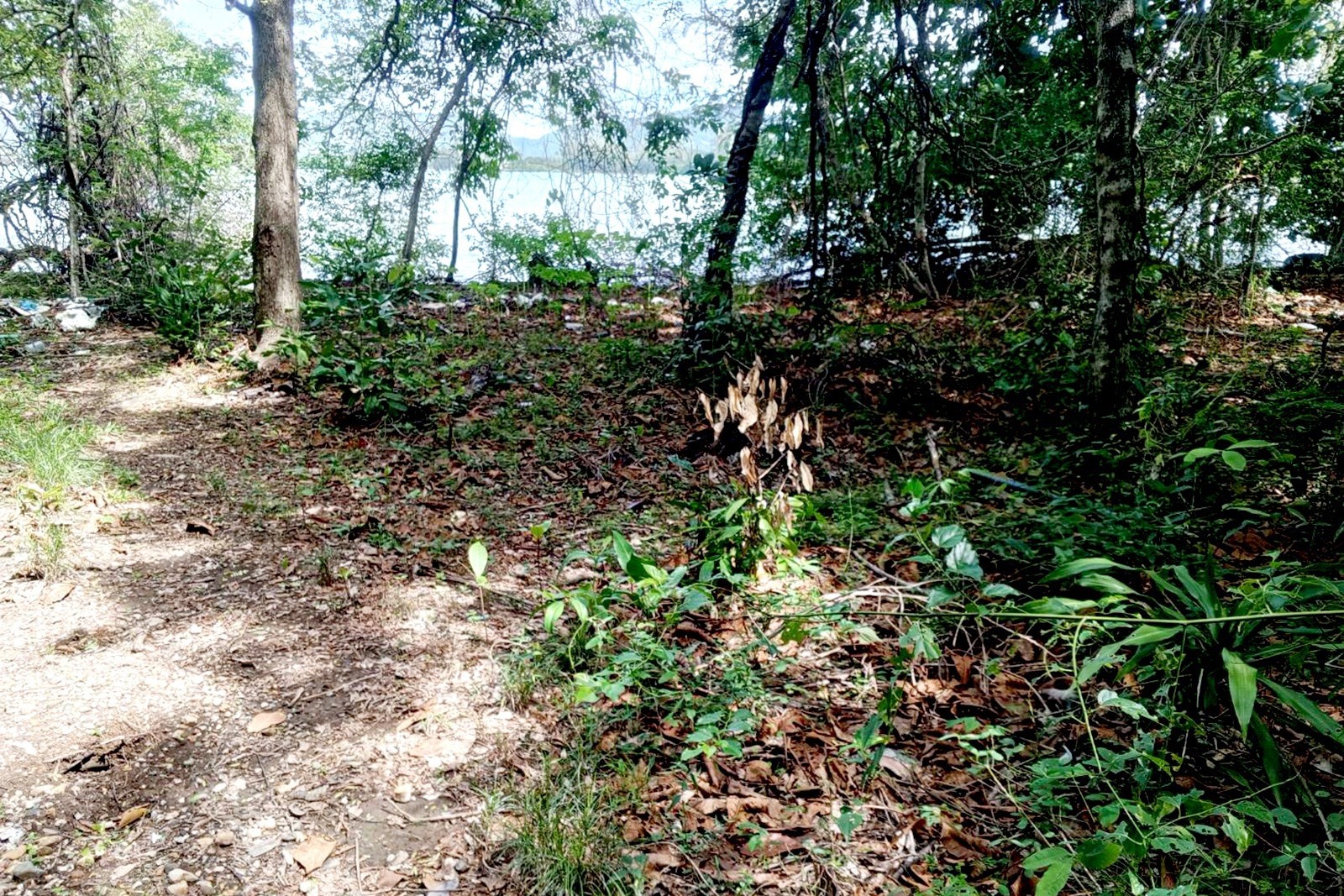 Exclusive Beachfront Development Land for Sale Near Panwa Beach, Phuket