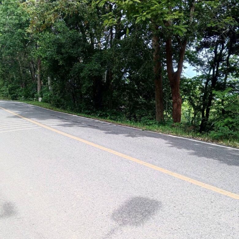 Exclusive Beachfront Development Land for Sale Near Panwa Beach, Phuket