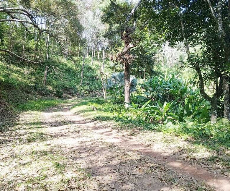 Rare 255 Rai Land for Sale in Phuket – Prime Investment Opportunity in Mueang District