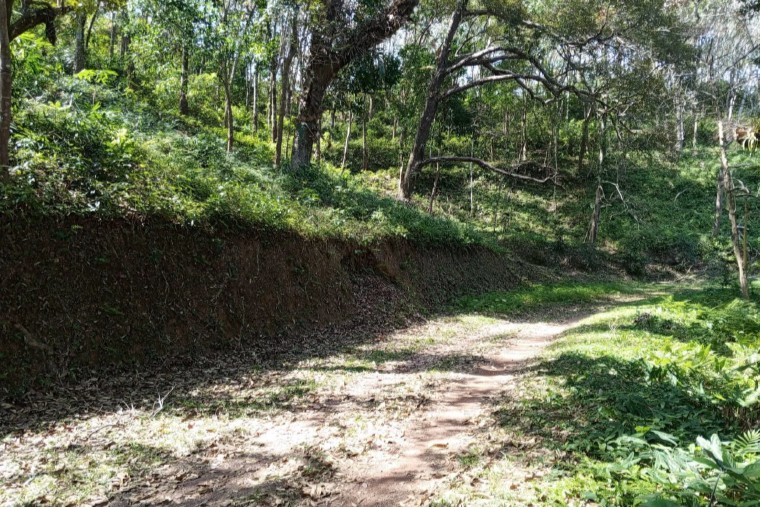 Rare 255 Rai Land for Sale in Phuket – Prime Investment Opportunity in Mueang District