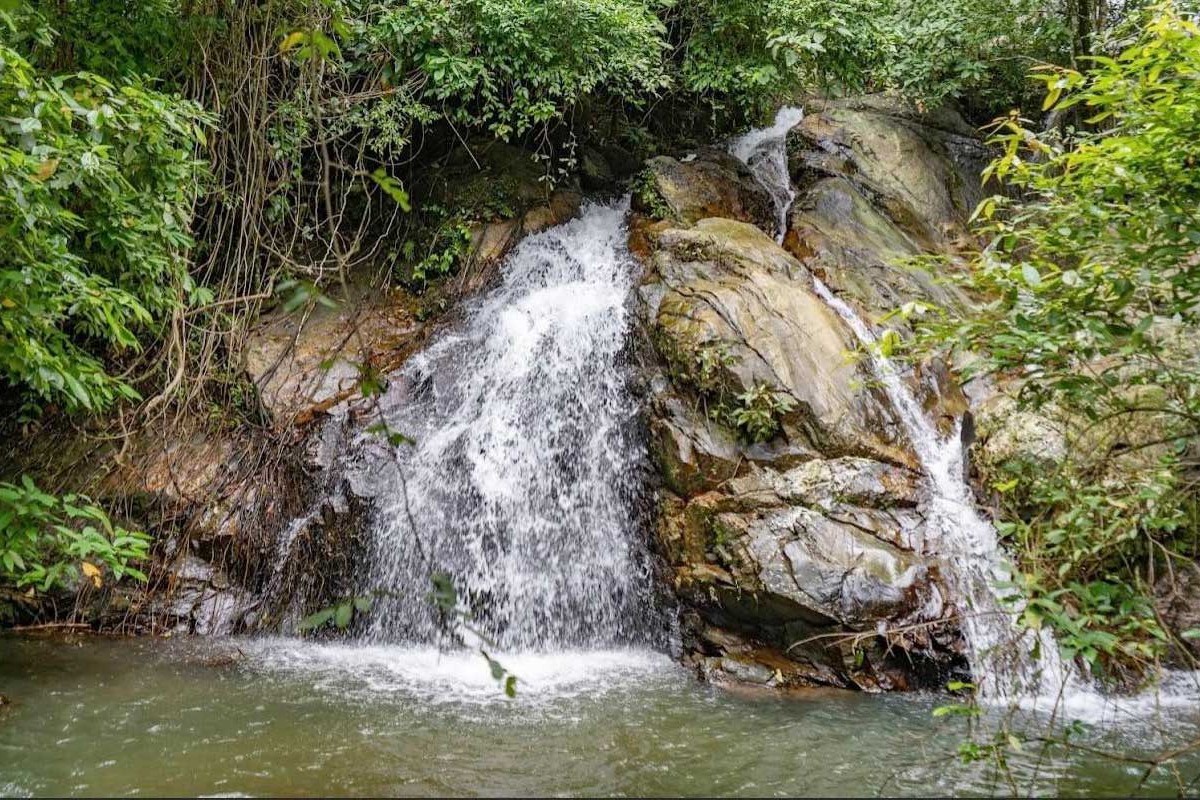 Land for Sale in Kamala, Phuket – 11 Rai with Chanote Title