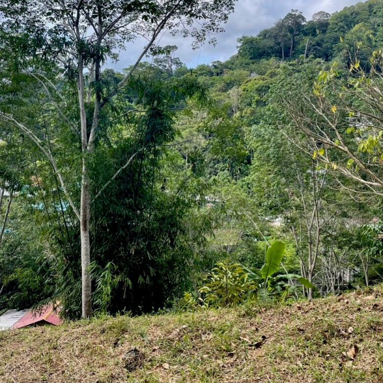 Land for Sale in Kamala, Phuket – 11 Rai with Chanote Title