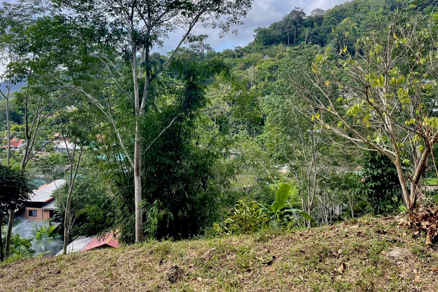 Land for Sale in Kamala, Phuket – 11 Rai with Chanote Title