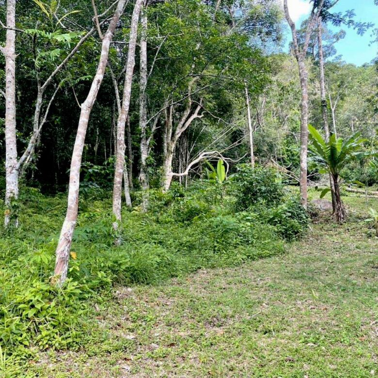 Land for Sale in Kamala, Phuket – 11 Rai with Chanote Title