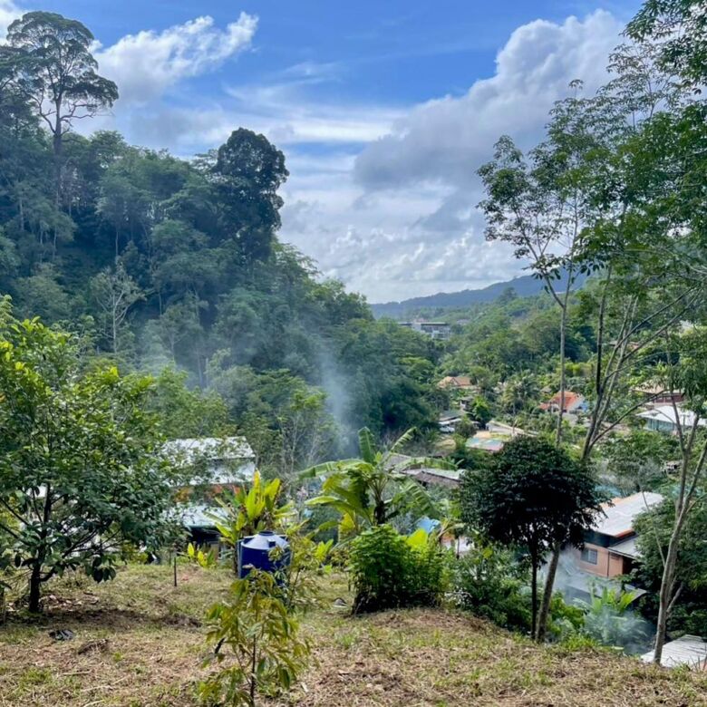 Land for Sale in Kamala, Phuket – 11 Rai with Chanote Title