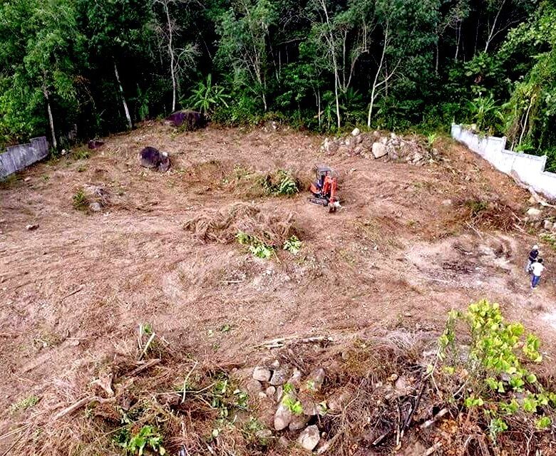 Land for Sale in Kamala, Phuket – 2,974 SQM Development Opportunity