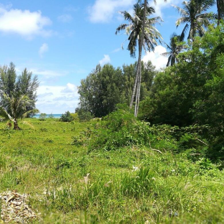 Prime Beachfront Land for Sale in Nai Yang Beach, Phuket: 170 Meters of Andaman Sea Frontage