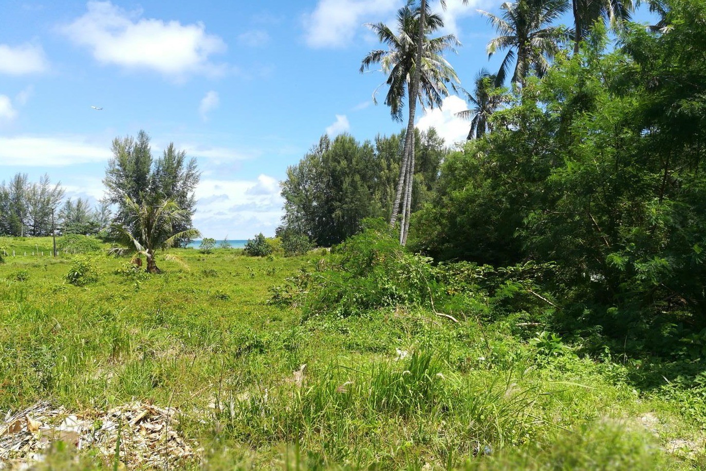Prime Beachfront Land for Sale in Nai Yang Beach, Phuket: 170 Meters of Andaman Sea Frontage