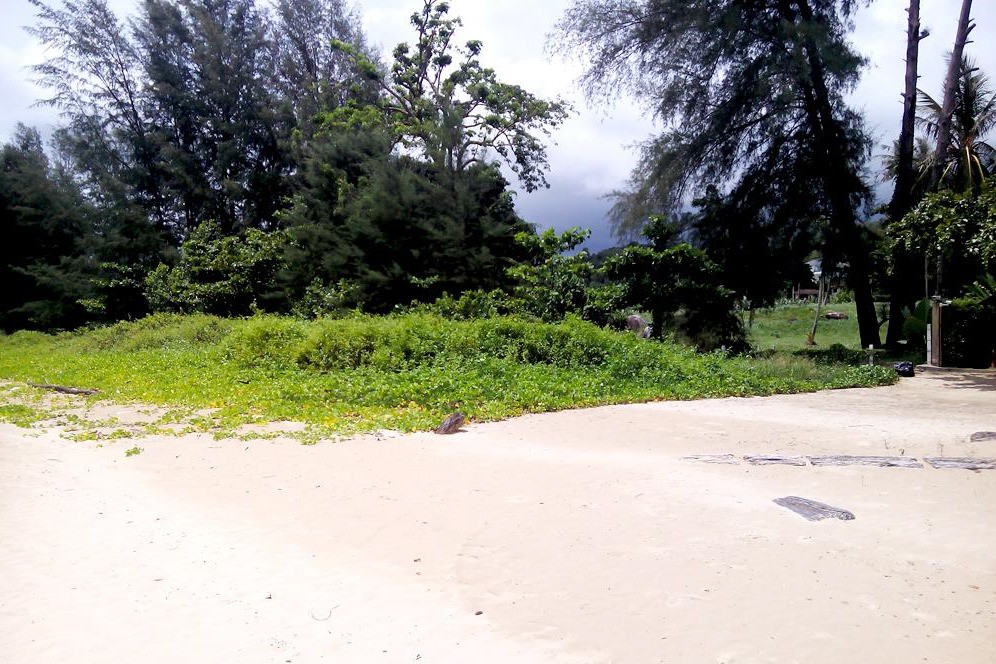 Prime Beachfront Land for Sale in Nai Yang Beach, Phuket: 170 Meters of Andaman Sea Frontage