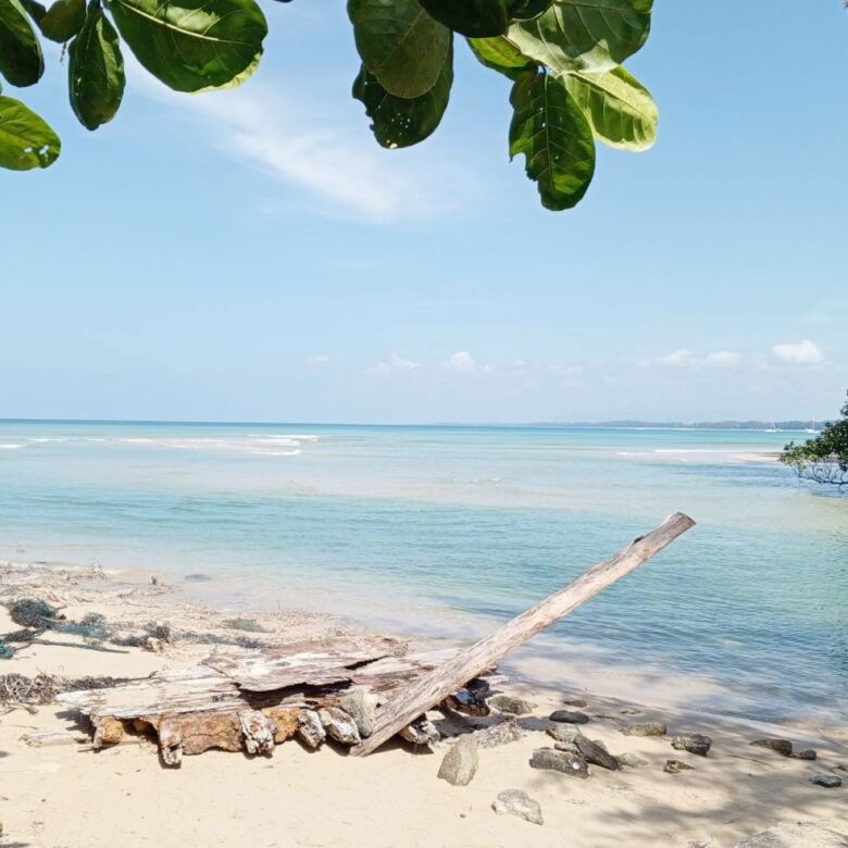 Prime Beachfront Land for Sale in Nai Yang Beach, Phuket: 170 Meters of Andaman Sea Frontage