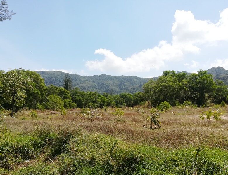 Prime Development Land for Sale in Kamala, Phuket: A Rare 20-Rai Investment Opportunity