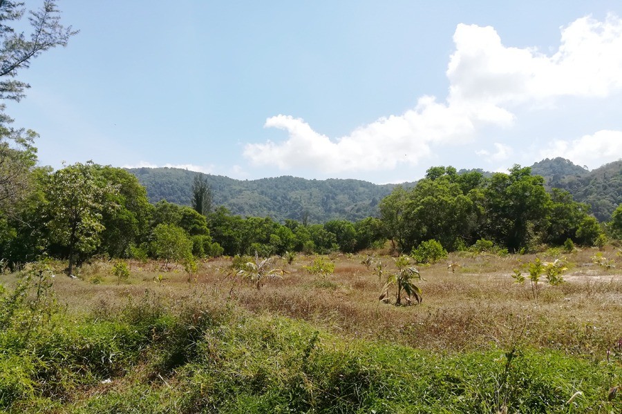 Prime Development Land for Sale in Kamala, Phuket: A Rare 20-Rai Investment Opportunity