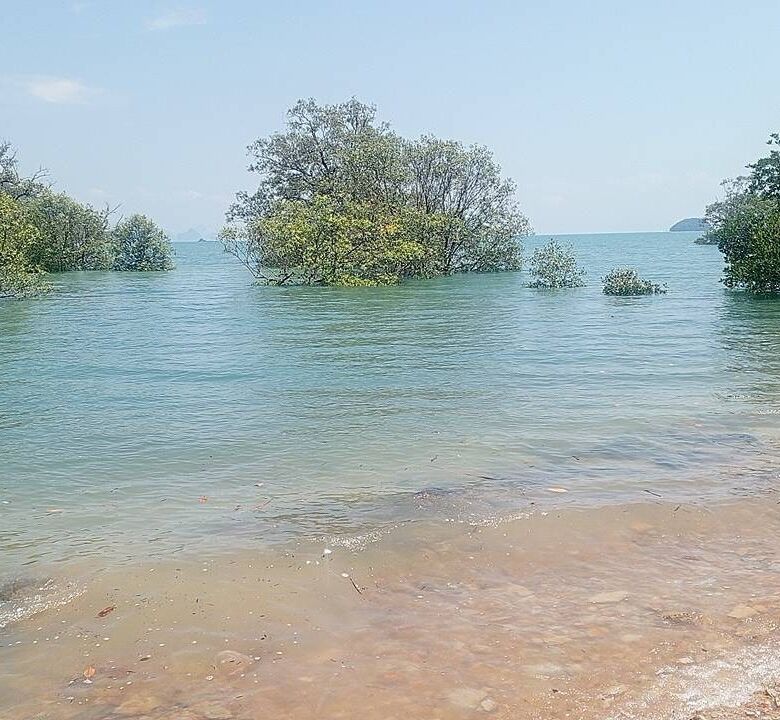 Beachfront Land for Sale in Por Bay, Phuket – 10 Rai with 33m Beachfront