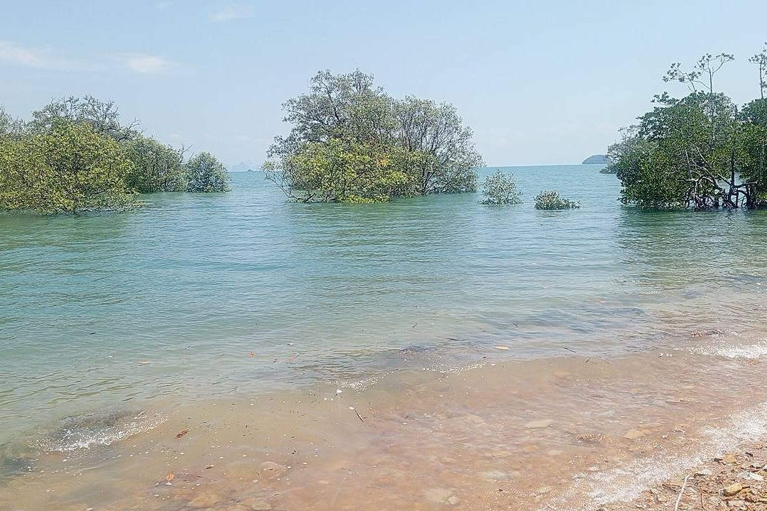 Beachfront Land for Sale in Por Bay, Phuket – 10 Rai with 33m Beachfront