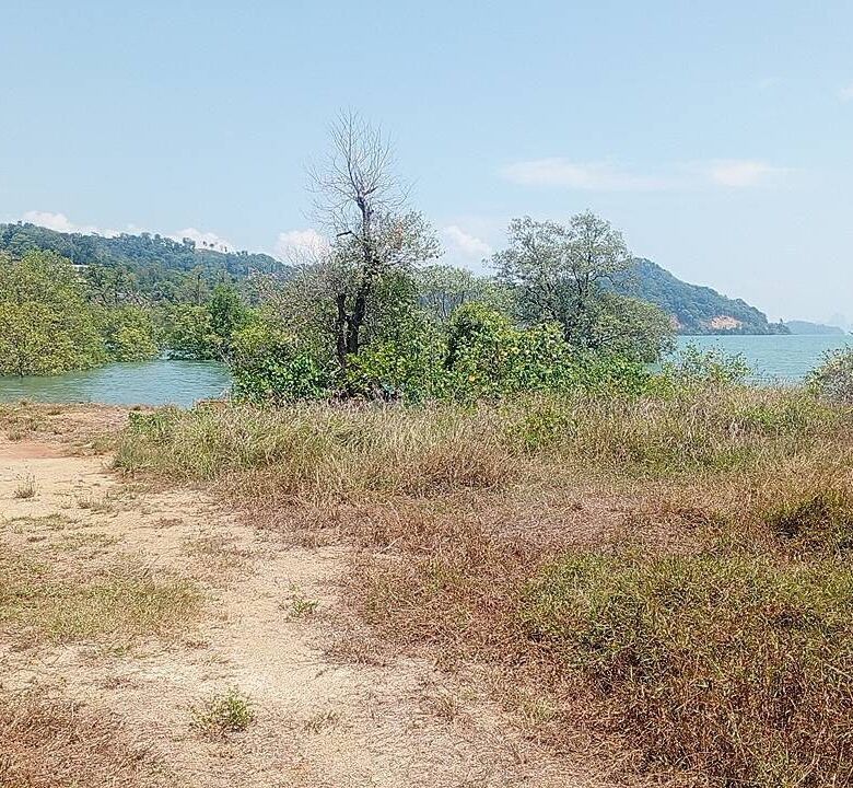 Beachfront Land for Sale in Por Bay, Phuket – 10 Rai with 33m Beachfront