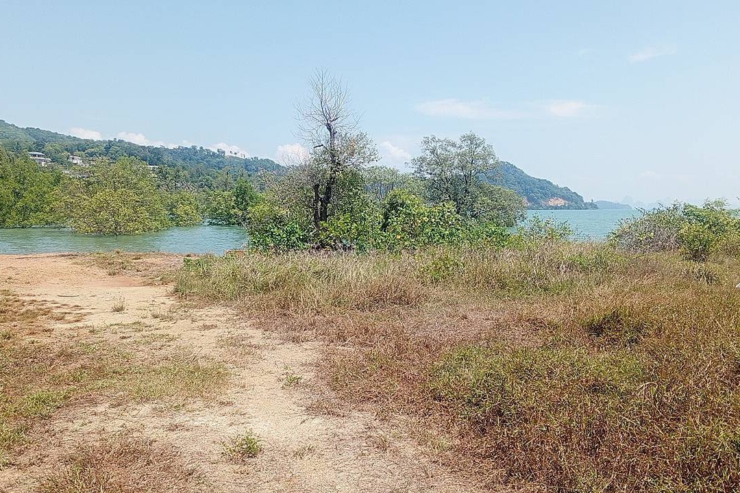 Beachfront Land for Sale in Por Bay, Phuket – 10 Rai with 33m Beachfront
