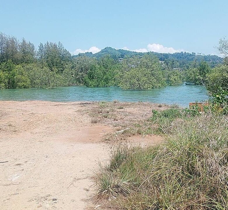Beachfront Land for Sale in Por Bay, Phuket – 10 Rai with 33m Beachfront