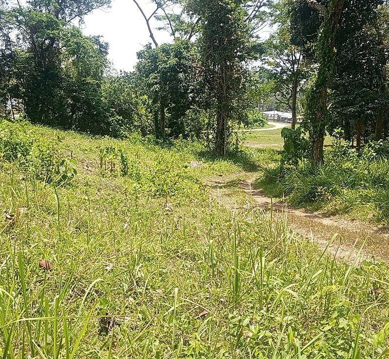 Beachfront Land for Sale in Por Bay, Phuket – 10 Rai with 33m Beachfront