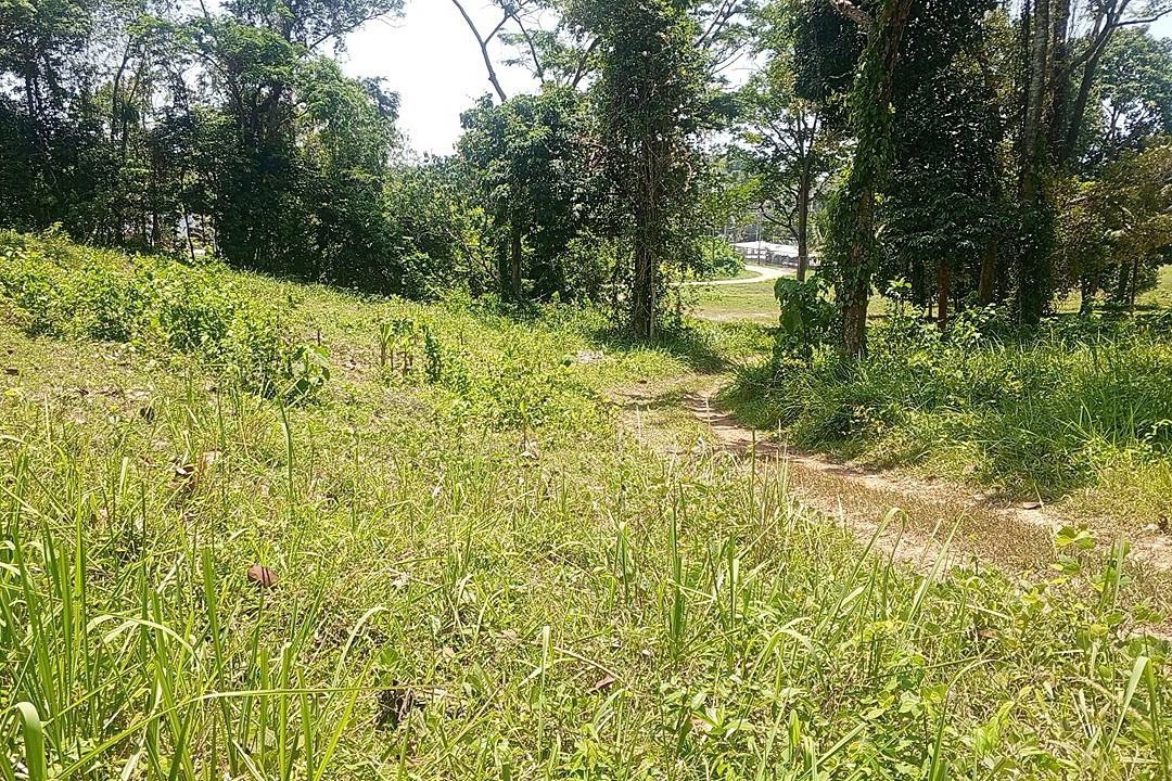 Beachfront Land for Sale in Por Bay, Phuket – 10 Rai with 33m Beachfront