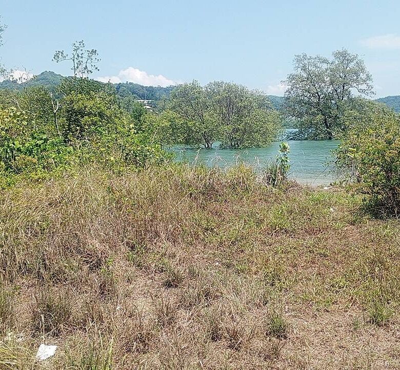 Beachfront Land for Sale in Por Bay, Phuket – 10 Rai with 33m Beachfront
