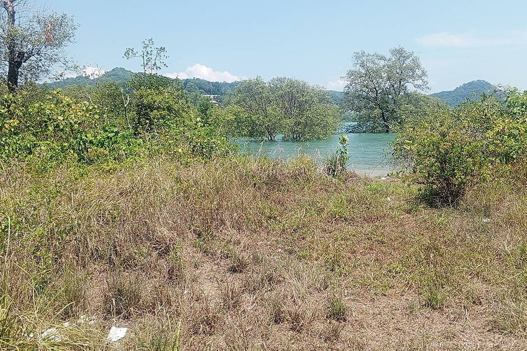 Beachfront Land for Sale in Por Bay, Phuket – 10 Rai with 33m Beachfront