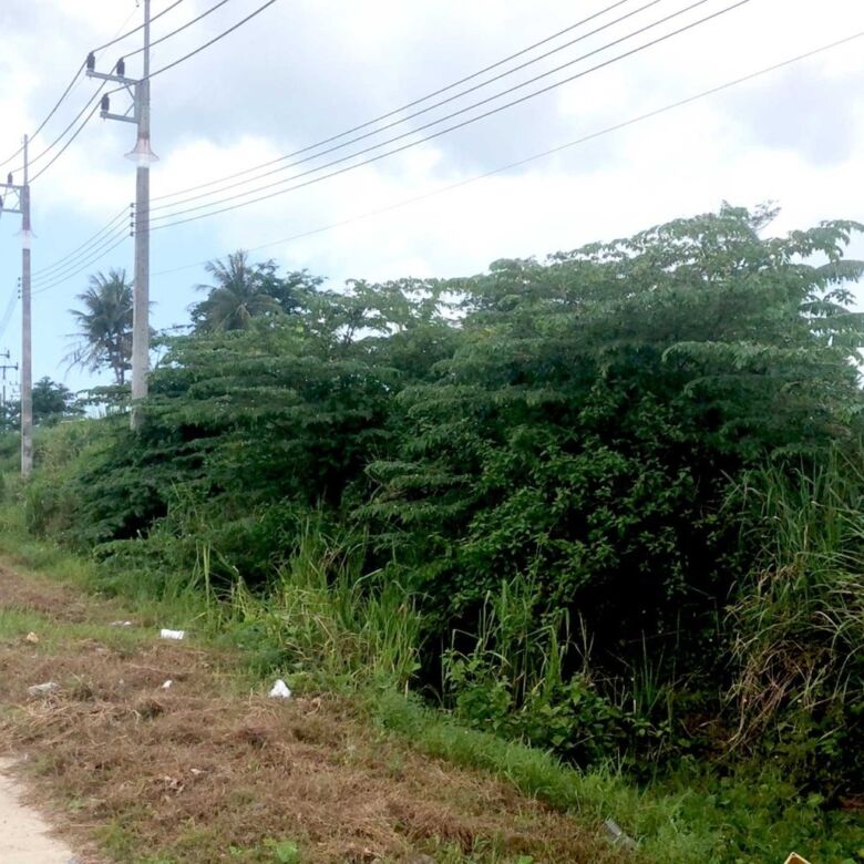 Prime Large-Scale Land for Sale in Paklok, Thalang, Phuket