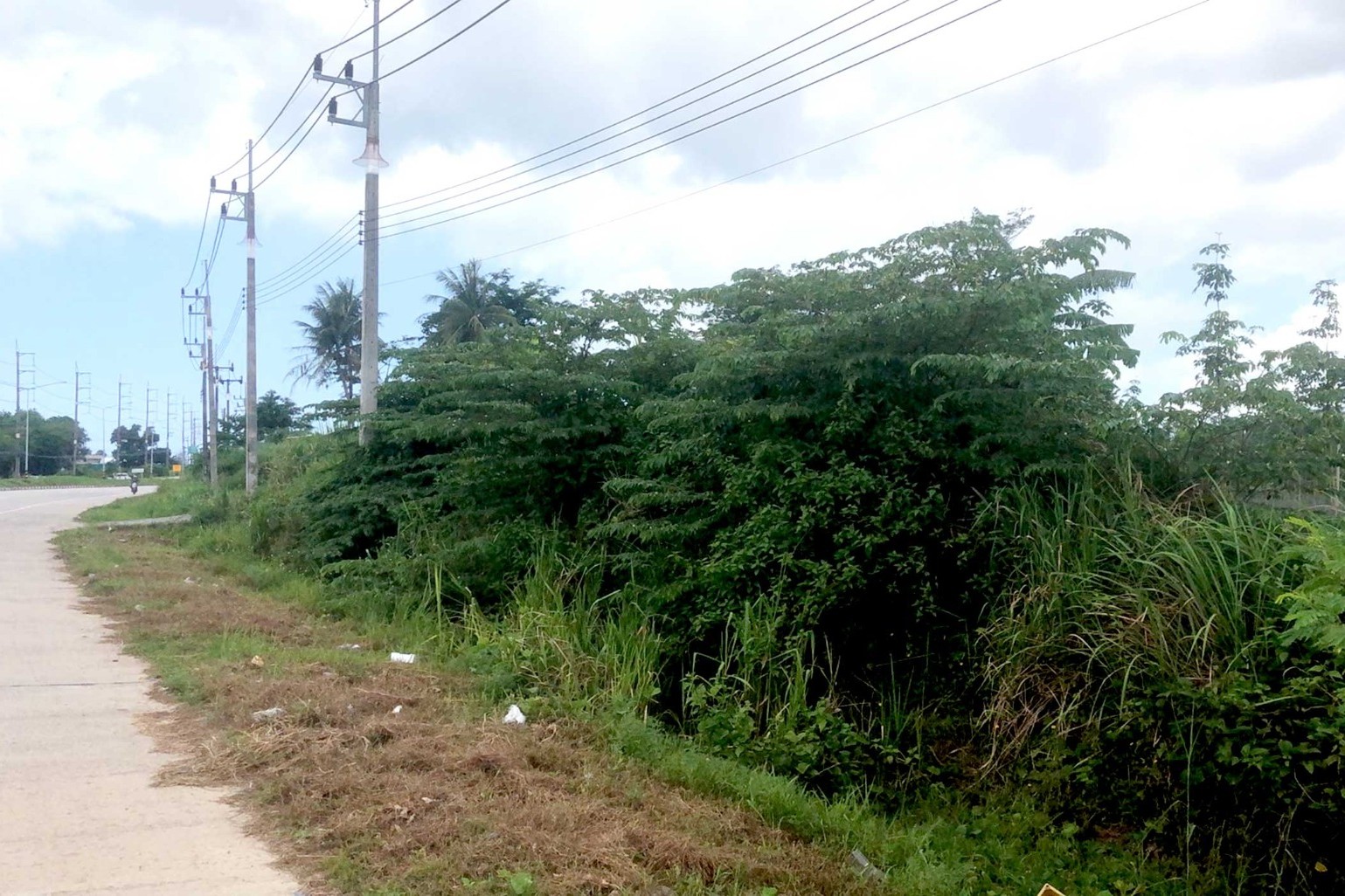 Prime Large-Scale Land for Sale in Paklok, Thalang, Phuket