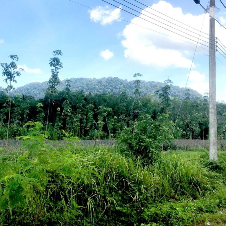 Prime Large-Scale Land for Sale in Paklok, Thalang, Phuket