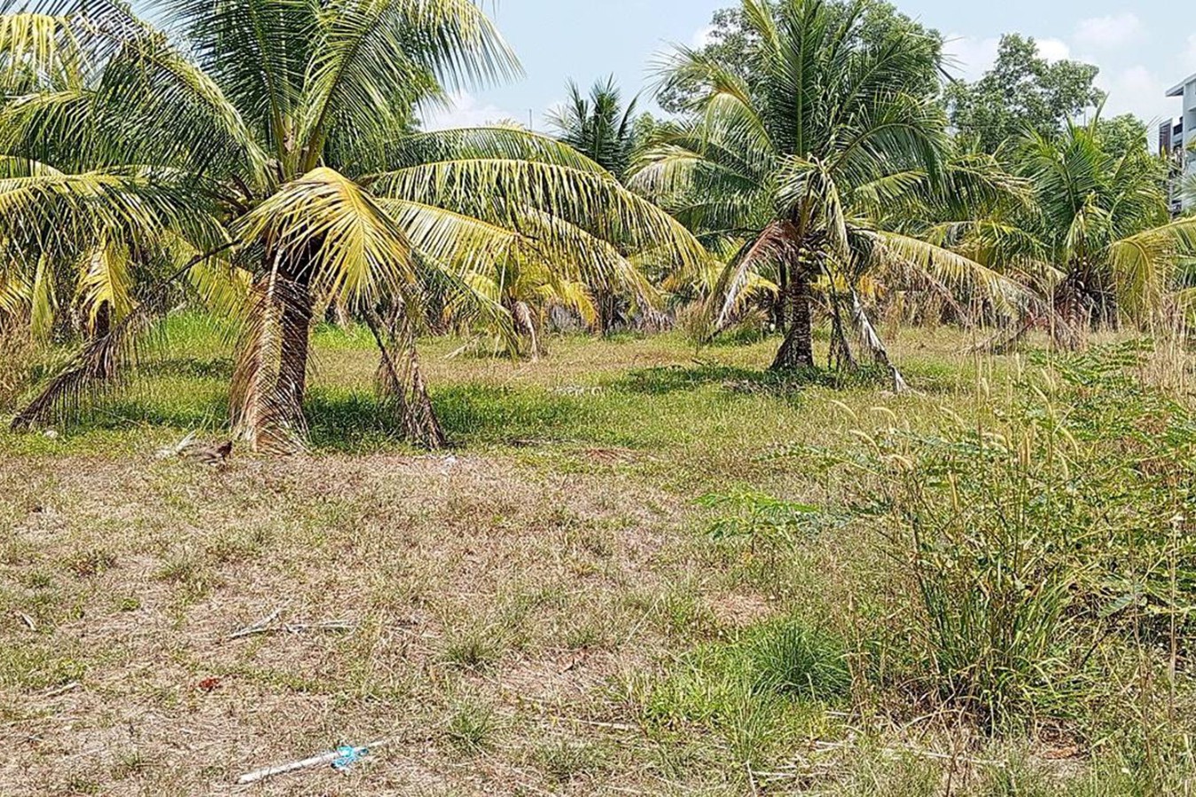 WhatsApp Image 2026-09-15 at 11.35.59 Prime 16 Rai of Land for Sale in Cherng Talay, Phuket — Ideal for Luxury Villa or Resort Development