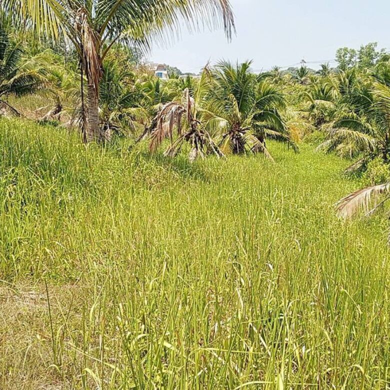 Prime 16 Rai of Land for Sale in Cherng Talay, Phuket — Ideal for Luxury Villa or Resort Development