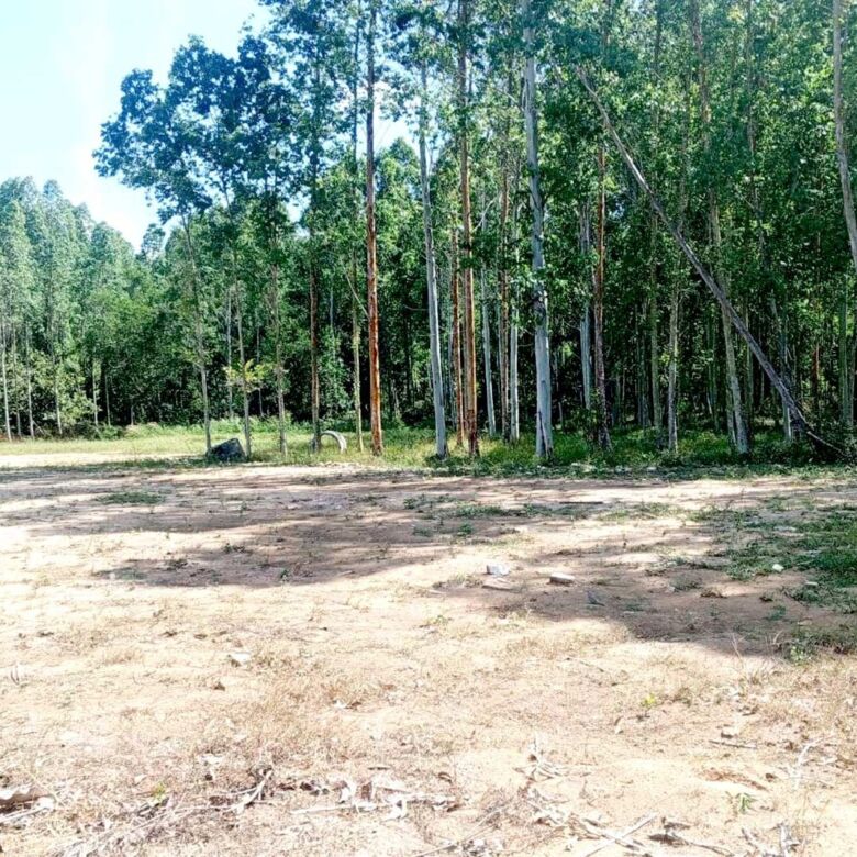 Prime 47-Rai Development Land for Sale in Cherng Talay, Phuket
